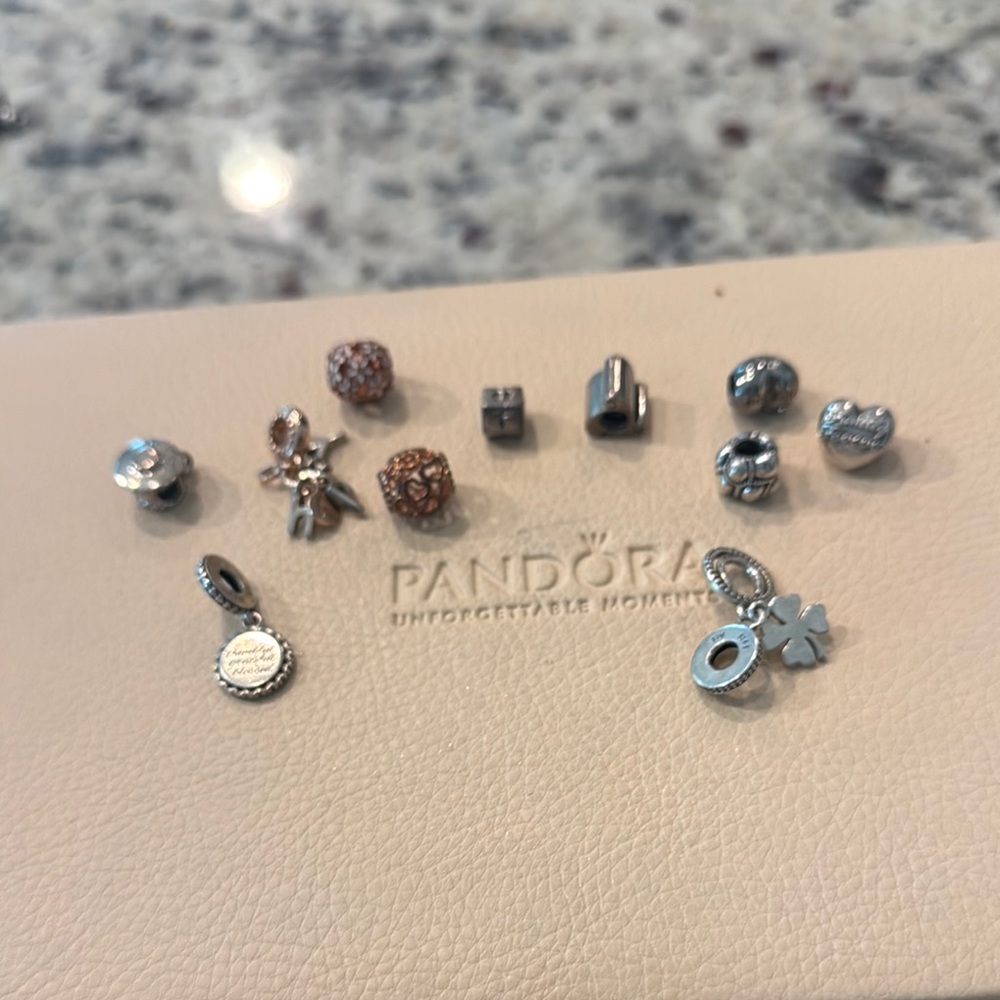 Pandora Silver and Gold Charm Collection